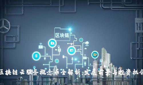 区块链云服务概念币全解析：发展前景与投资机会