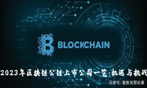 2023年区块链公链上市公司一览：机遇与挑战