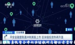 区块链系统整合中的关键挑战与解决方案分析