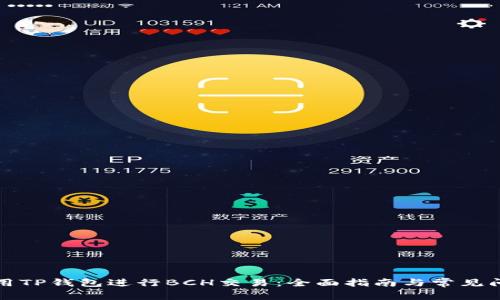 如何使用TP钱包进行BCH交易：全面指南与常见问题解答