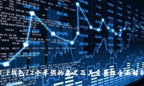 T P钱包12个单词的意义及其重要性全面解析