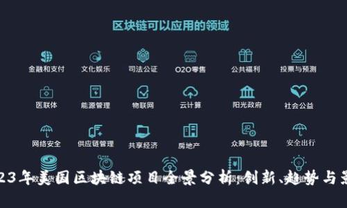 2023年美国区块链项目全景分析：创新、趋势与影响