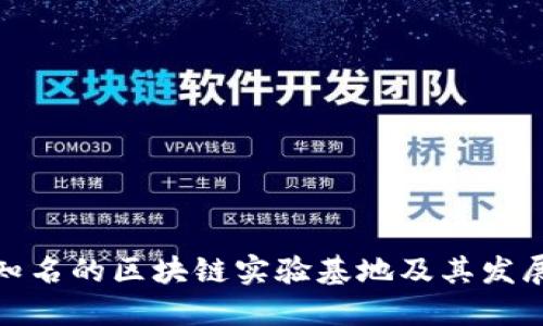 全球知名的区块链实验基地及其发展现状