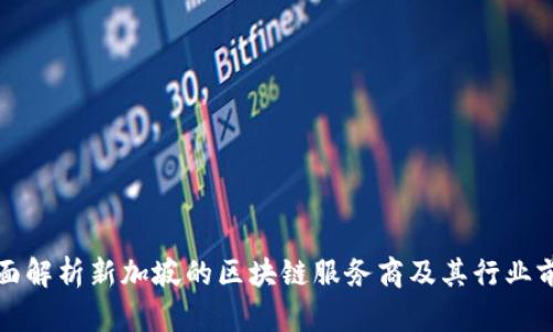 全面解析新加坡的区块链服务商及其行业前景