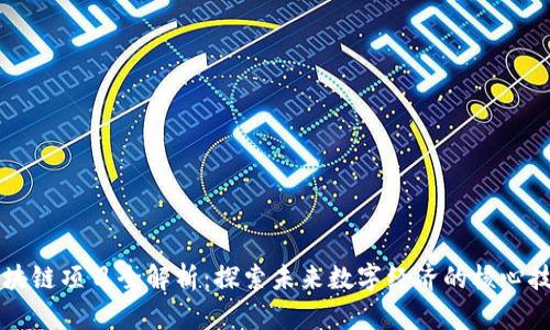 区块链项目全解析：探索未来数字经济的核心技术