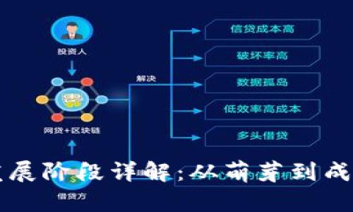 区块链自律发展阶段详解：从萌芽到成熟的全面解析