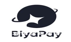 区块链技术对银行业的潜在危害分析