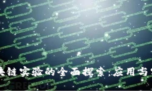 区块链实验的全面探索：应用与实践