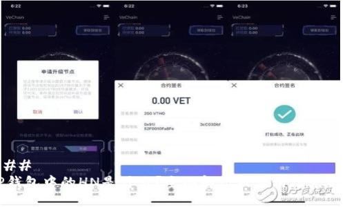 ###
TP钱包中的HN是什么?全面解读及应用场景解析