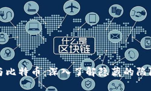 区块链与比特币：深入了解隐藏的陷阱与风险