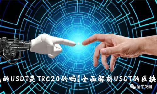 TP钱包的USDT是TRC20的吗？全面解析USDT的区块链种类