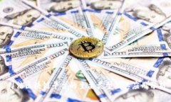 司法区块链平台的主要类型及其应用分析