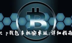 如何下载和使用t p钱包手机安卓版：详细指南与