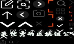 2023年国内最优秀的区块链公司盘点与分析