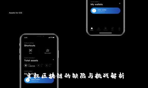 主权区块链的缺陷与挑战解析
