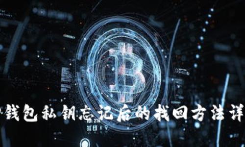TP钱包私钥忘记后的找回方法详解