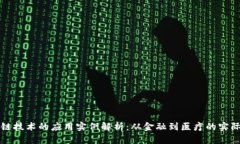 区块链技术的应用实例解析：从金融到医疗的实