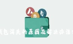 TP钱包消失的原因及解决办法分析