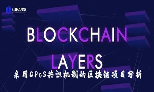 采用DPoS共识机制的区块链项目分析