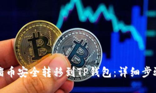 如何将猪币安全转移到TP钱包：详细步骤与技巧