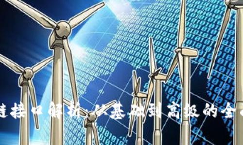 区块链接口解析：从基础到高级的全面指南