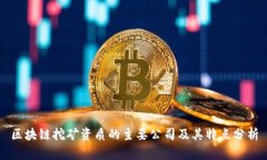 区块链挖矿资质的主要公司及其特点分析