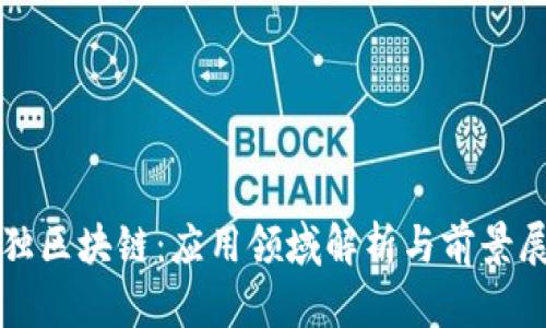 数独区块链：应用领域解析与前景展望