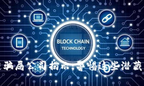 数字区块链骗局公司揭示：警惕这些潜藏风险的骗局