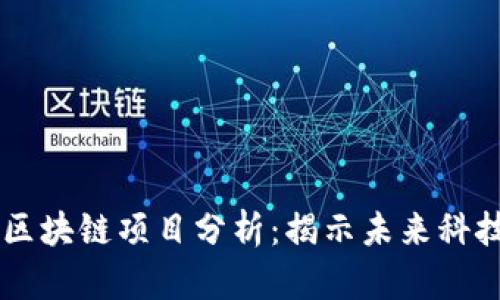 成功的区块链项目分析：揭示未来科技的潜力