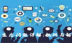 区块链生态问题详解：挑战与解决方案