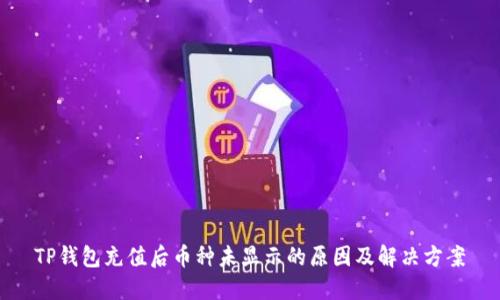 TP钱包充值后币种未显示的原因及解决方案