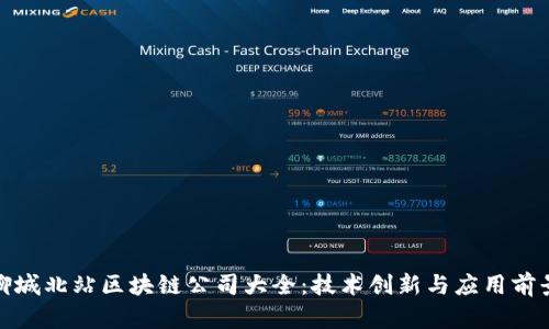 聊城北站区块链公司大全：技术创新与应用前景