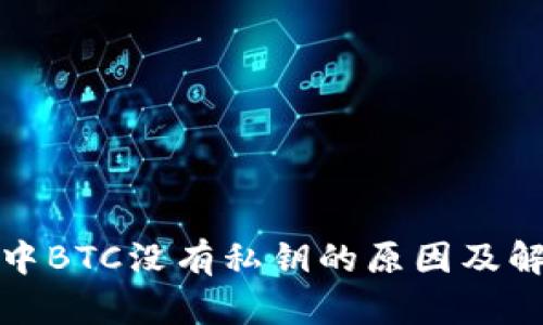 TP钱包中BTC没有私钥的原因及解决方案