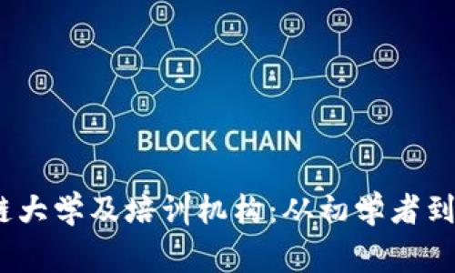 2023年推荐的区块链大学及培训机构：从初学者到专家的深度学习之路