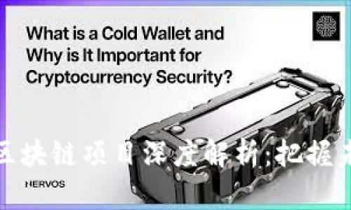 天津望城区区块链项目深度解析：把握未来科技趋势