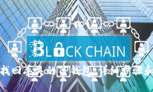 如何找回丢失的TP钱包：详细步骤和技巧