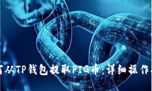 如何从TP钱包提取PIG币：详细操作指南