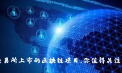 那些通过交易所上市的区块链项目，你值得关注