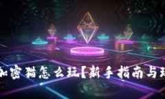 TP钱包加密猫怎么玩？新手指南与玩法解析