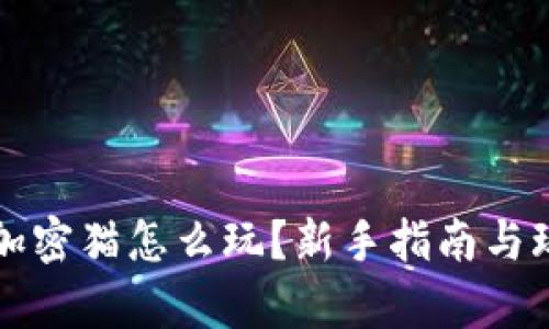 TP钱包加密猫怎么玩？新手指南与玩法解析