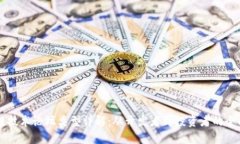 区块链技术论坛类型详解：从开发者到投资者的