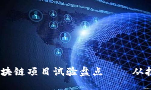 2023年最成功的区块链项目试验盘点——从技术创新到应用落地