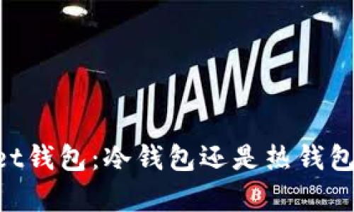 TokenPocket钱包：冷钱包还是热钱包的深度解析