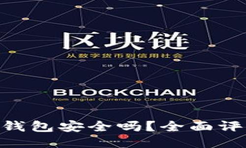 TokenPocket钱包安全吗？全面评测与使用指南
