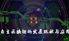 国内自主区块链的发展现状与应用分析