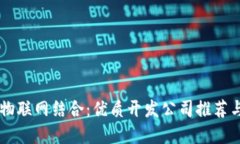 区块链与物联网结合：优质开发公司推荐与行业