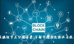 美国区块链节点公司全景：了解市场领先企业与