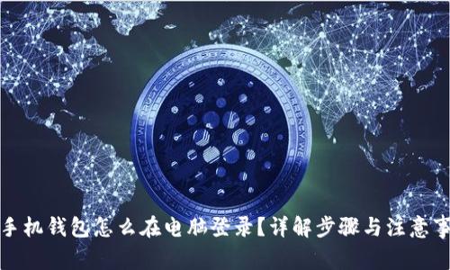 tp手机钱包怎么在电脑登录？详解步骤与注意事项