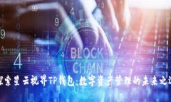 探索星云视界TP钱包：数字资产管理的未来之选