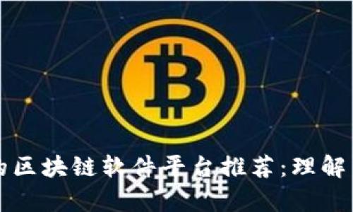 真正的区块链软件平台推荐：理解与选择